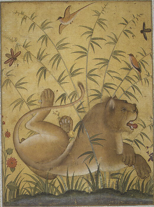 Lion at Rest, Ink, opaque watercolor, silver, and gold on paper