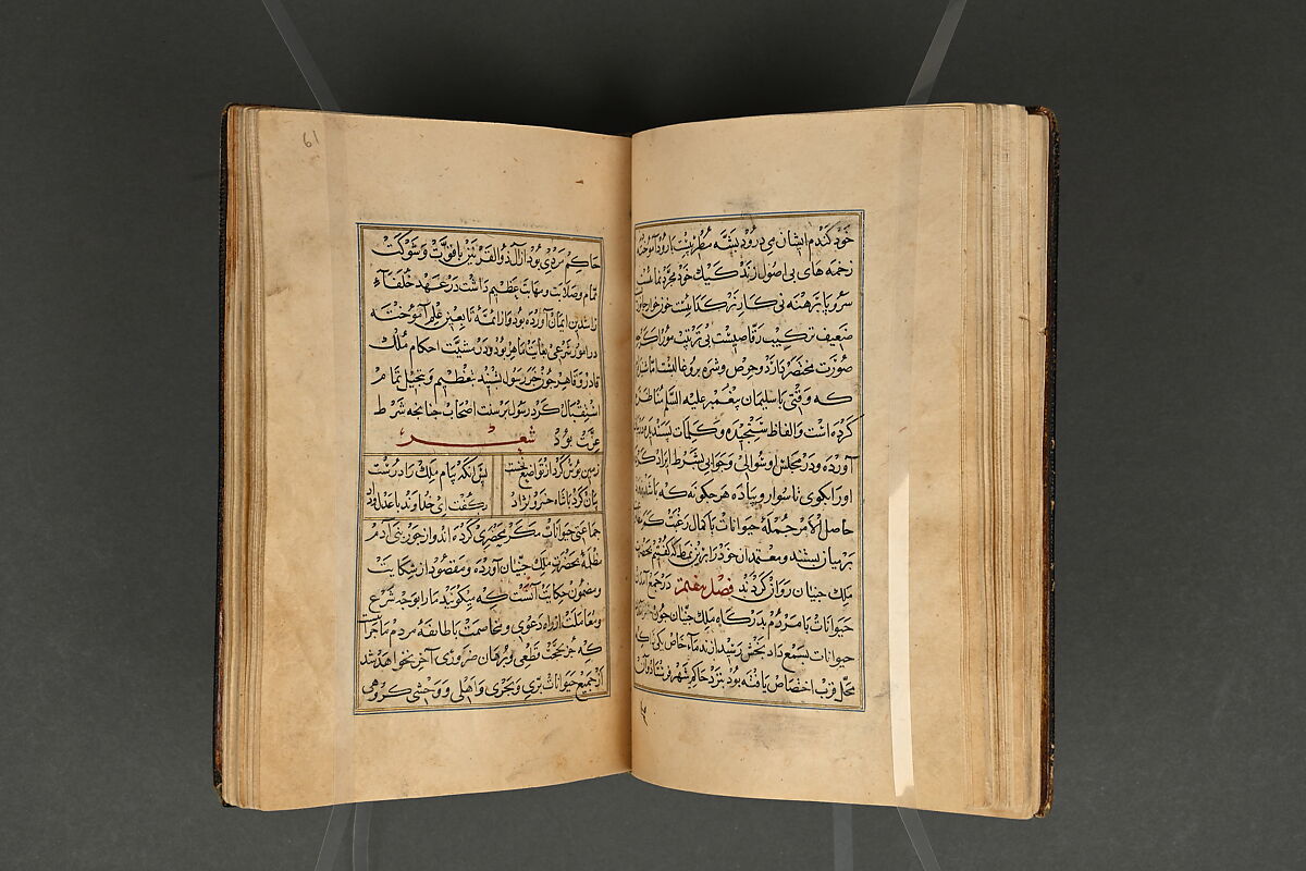 Illustrated Manuscript, Ink, opaque watercolor, and gold on paper; leather binding