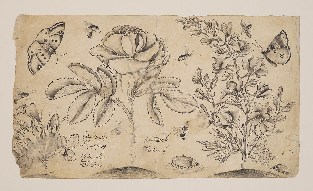 Drawing with Flowers, Butterflies, and Insects, Shafi&#39; &#39;Abbasi (Iranian, Isfahan ca. 1628–ca. 1674), Ink on paper 