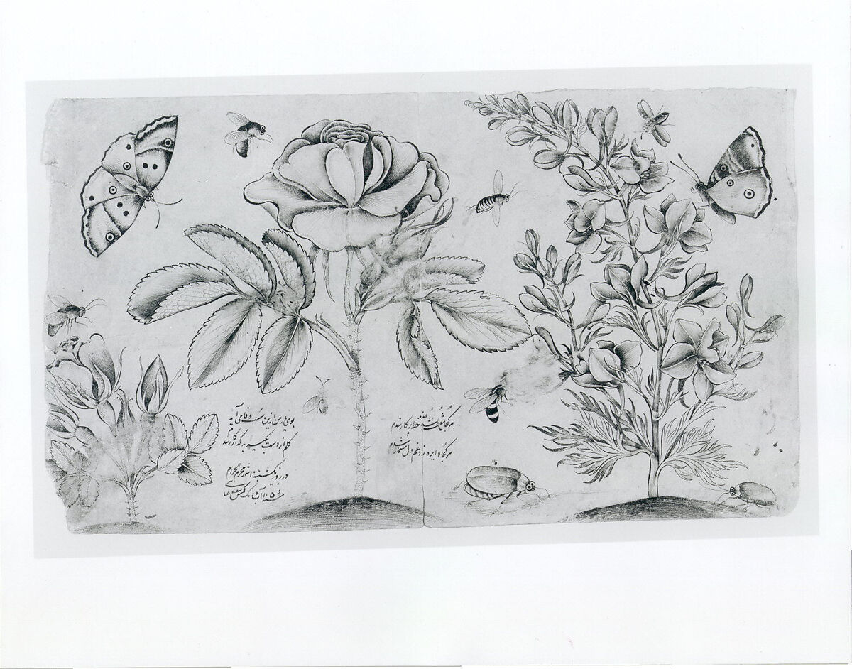 Drawing with Flowers, Butterflies, and Insects, Shafi' 'Abbasi (Iranian, Isfahan ca. 1628–ca. 1674), Ink on paper