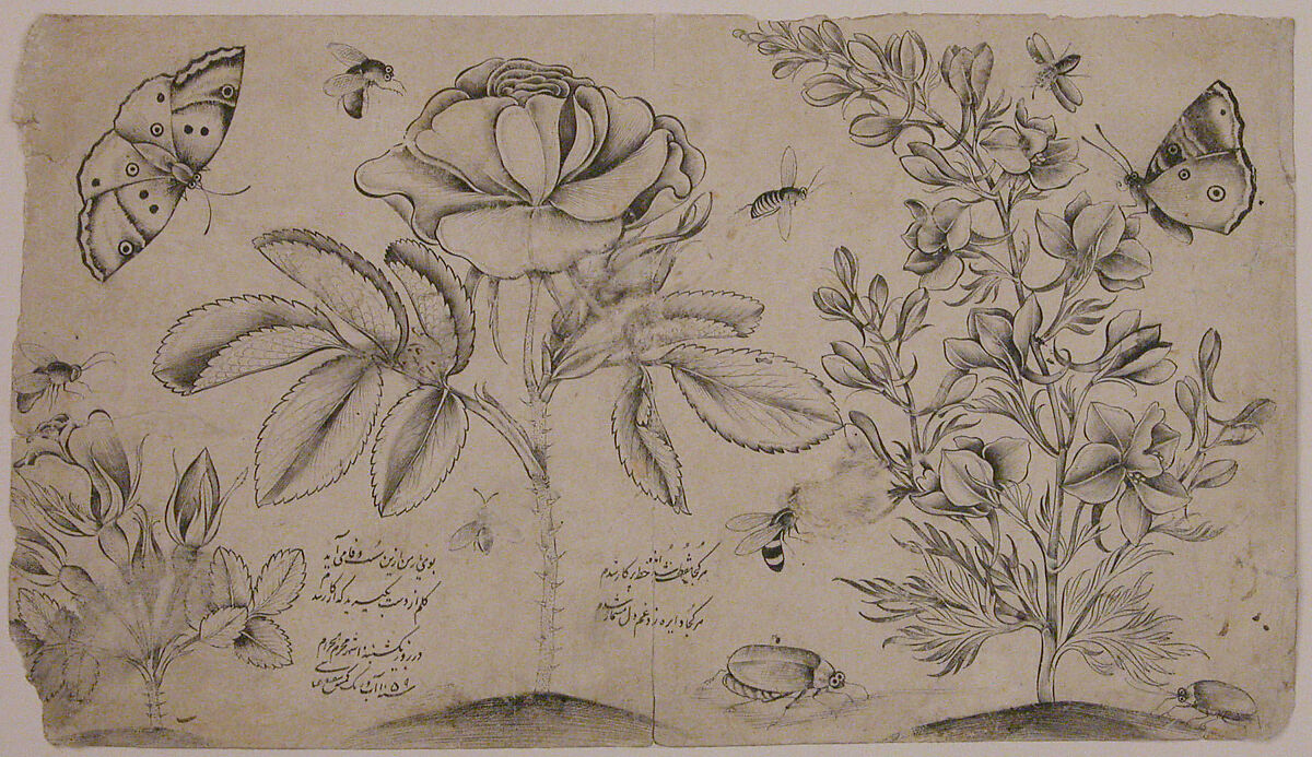 Drawing with Flowers, Butterflies, and Insects, Shafi' 'Abbasi (Iranian, Isfahan ca. 1628–ca. 1674), Ink on paper