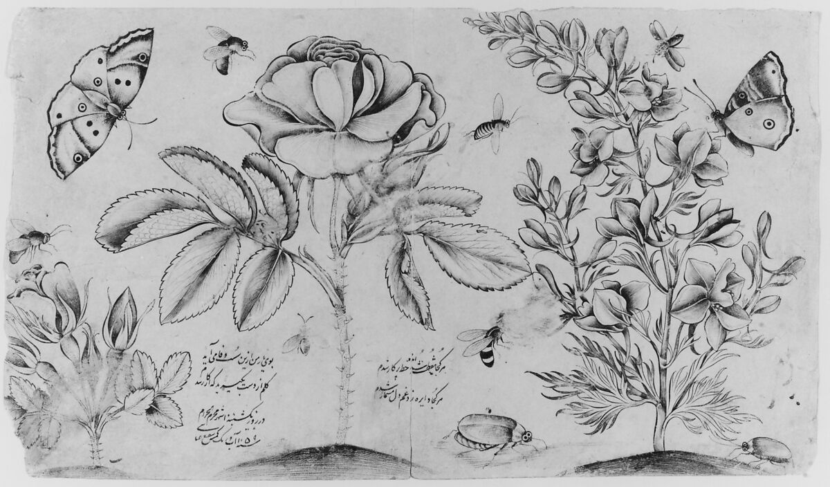 Drawing with Flowers, Butterflies, and Insects, Shafi' 'Abbasi (Iranian, Isfahan ca. 1628–ca. 1674), Ink on paper