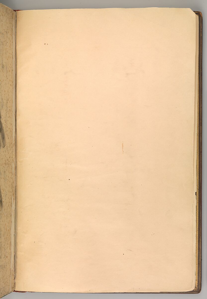 Mantiq al-Tayr (Language of the Birds), Farid al-Din `Attar (Iranian, Nishapur ca. 1142–ca. 1220 Nishapur), Binding: doublure