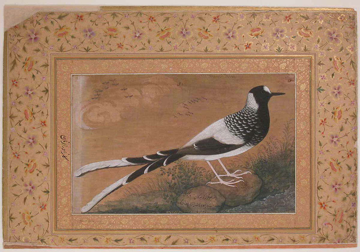 "Spotted Forktail", Folio from the Shah Jahan Album, Painting by Abu'l Hasan (Indian, born ca. 1588/89, active 1600–1628), Ink, opaque watercolor, and gold on silk