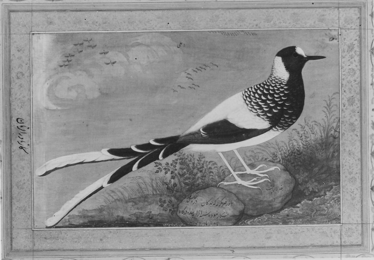 "Spotted Forktail", Folio from the Shah Jahan Album, Painting by Abu'l Hasan (Indian, born ca. 1588/89, active 1600–1628), Ink, opaque watercolor, and gold on silk