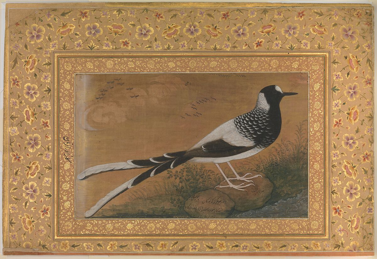 "Spotted Forktail", Folio from the Shah Jahan Album, Painting by Abu&#39;l Hasan (Indian, born ca. 1588/89, active 1600–1628), Ink, opaque watercolor, and gold on silk 
