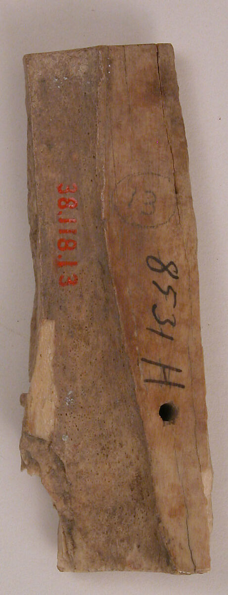 Plaque, Bone; carved