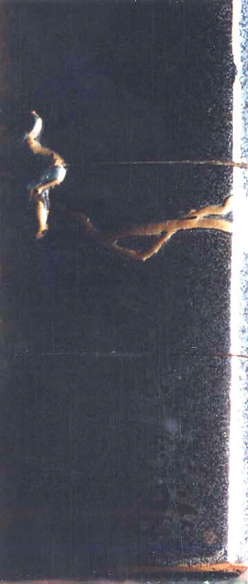 Case (Inrō) with Design of Grapevine, Case: gold and colored lacquer on black lacquer with mother-of-pearl and pewter inlays; Fastener (ojime): silver vase (signed: Tenni); Toggle: (netsuke): gold with design of cricket and dragonfly with autumn grasses, Japan