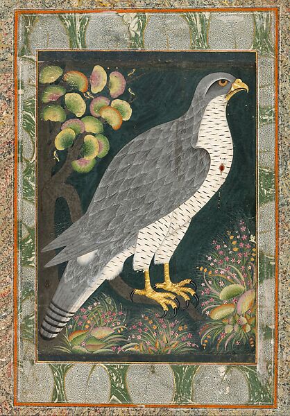 Royal Hunting Falcon (Baz), Atrributed to a follower of the "Bodleian painter", Ink, opaque watercolor, and gold on paper