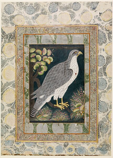 Royal Hunting Falcon (Baz), Atrributed to a follower of the "Bodleian painter", Ink, opaque watercolor, and gold on paper 