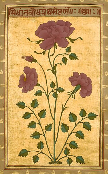Folio from the Siddantha-sara, Siddantha-Bodha, and Aporaksha-siddantha, Ink, opaque watercolor and gold on paper