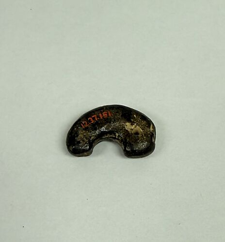 Tiger Claw Jewel