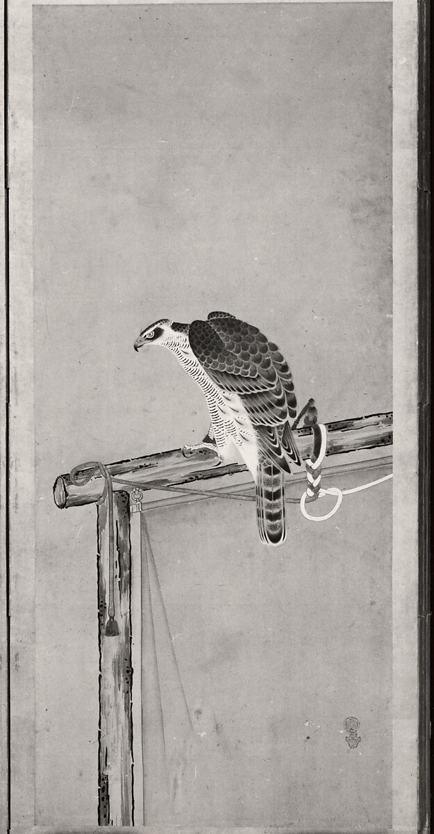 Tethered Hawks, After Soga Chokuan (Japanese, active ca. 1596–1615), Six-panel folding screen; ink and color on paper, Japan