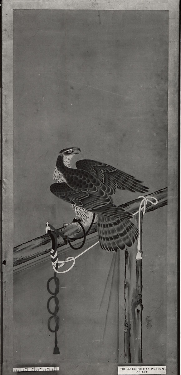 Tethered Hawks, After Soga Chokuan (Japanese, active ca. 1596–1615), Six-panel folding screen; ink and color on paper, Japan