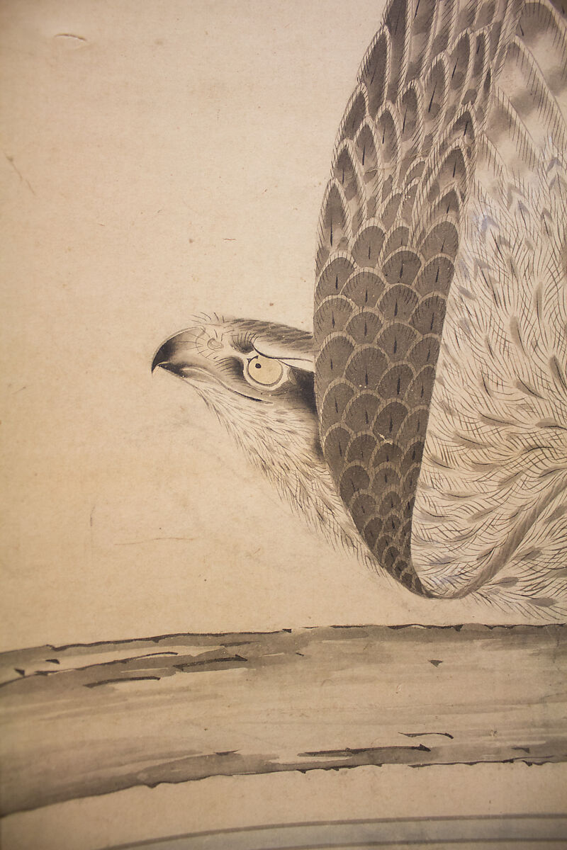 Hunting Hawk on Perch, Attributed to Soga Chokuan (Japanese, active ca. 1596–1615), Hanging scroll; ink and color on paper, Japan