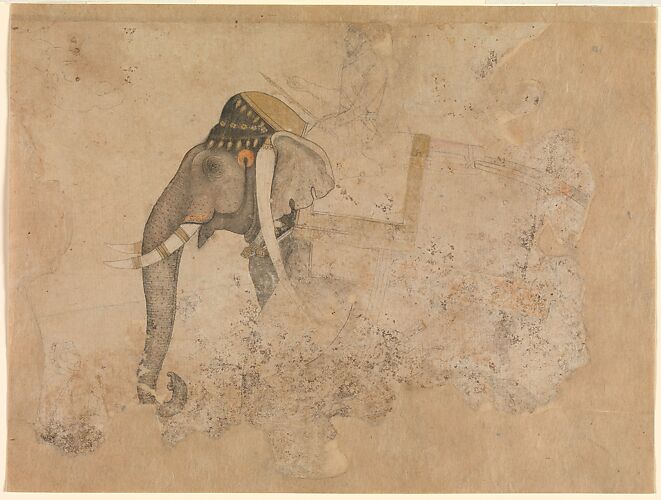 Elephant and Rider