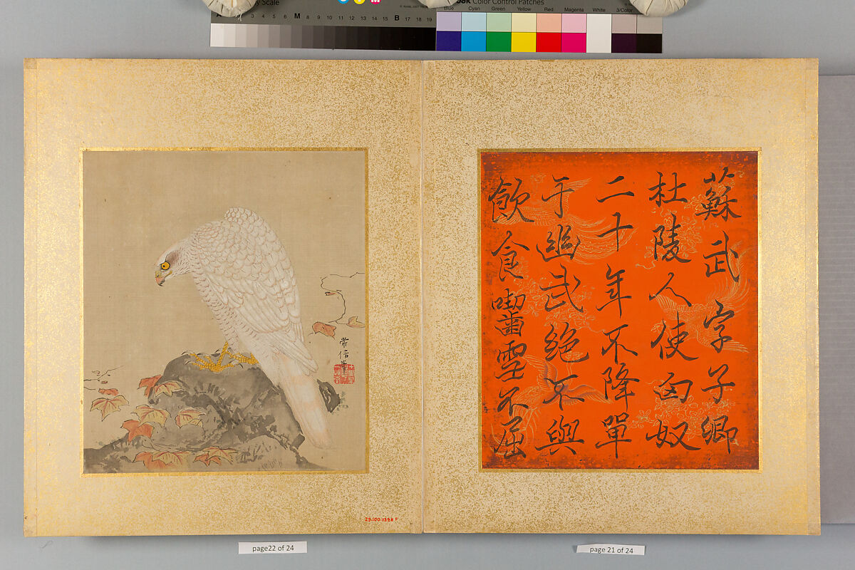 Album of Hawks and Calligraphy, Kano Tsunenobu (Japanese, 1636–1713), Album of ten paintings; ink and color on silk, Japan