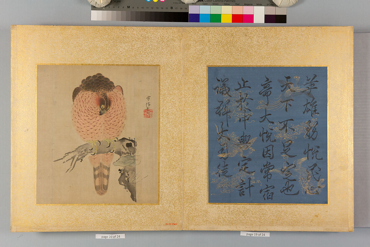 Album of Hawks and Calligraphy, Kano Tsunenobu (Japanese, 1636–1713), Album of ten paintings; ink and color on silk, Japan