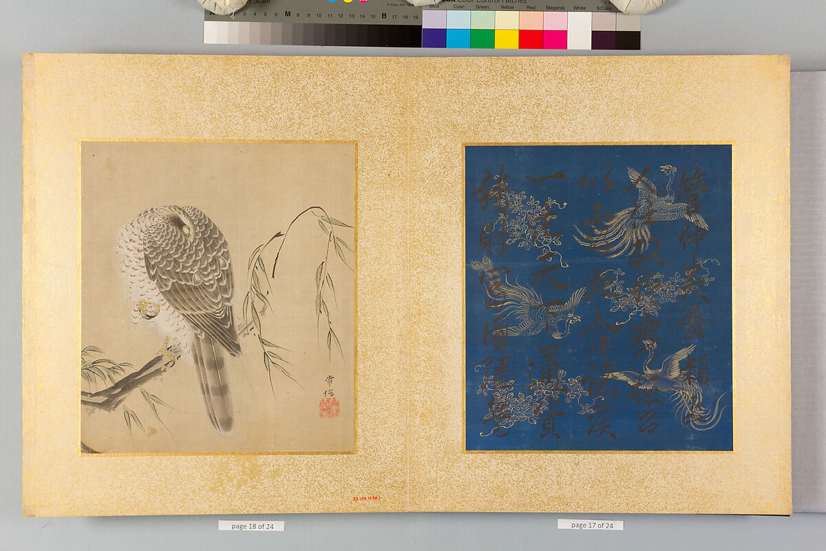 Album of Hawks and Calligraphy, Kano Tsunenobu (Japanese, 1636–1713), Album of ten paintings; ink and color on silk, Japan