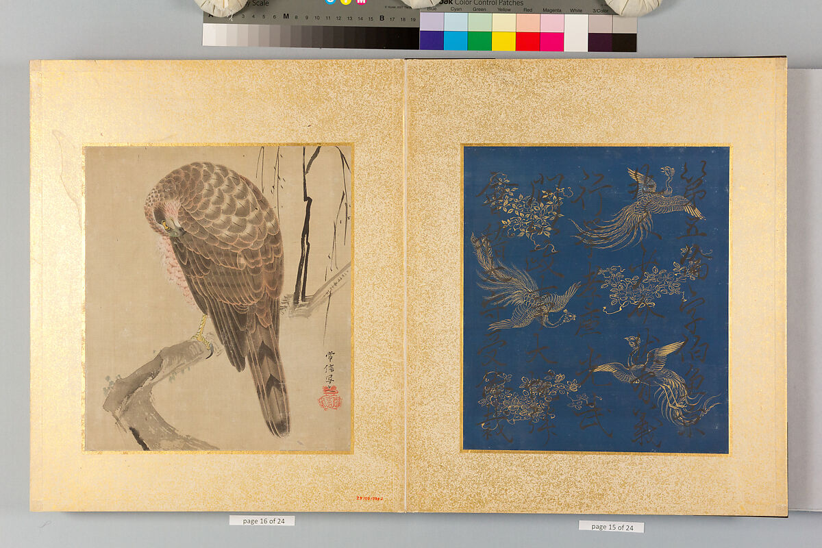 Album of Hawks and Calligraphy, Kano Tsunenobu (Japanese, 1636–1713), Album of ten paintings; ink and color on silk, Japan