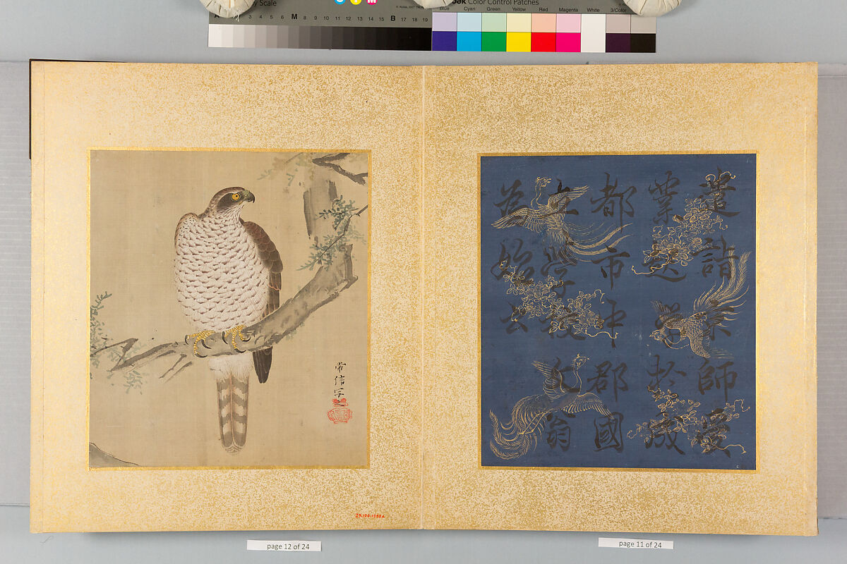Album of Hawks and Calligraphy, Kano Tsunenobu (Japanese, 1636–1713), Album of ten paintings; ink and color on silk, Japan