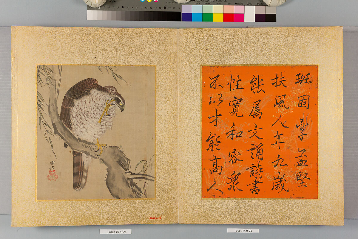 Album of Hawks and Calligraphy, Kano Tsunenobu (Japanese, 1636–1713), Album of ten paintings; ink and color on silk, Japan