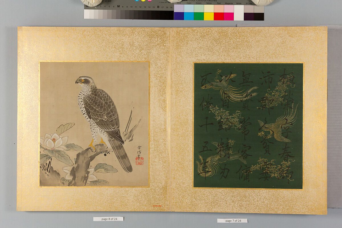 Album of Hawks and Calligraphy, Kano Tsunenobu (Japanese, 1636–1713), Album of ten paintings; ink and color on silk, Japan