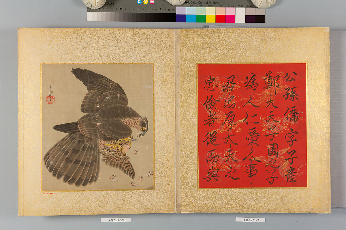 Album of Hawks and Calligraphy, Kano Tsunenobu (Japanese, 1636–1713), Album of ten paintings; ink and color on silk, Japan