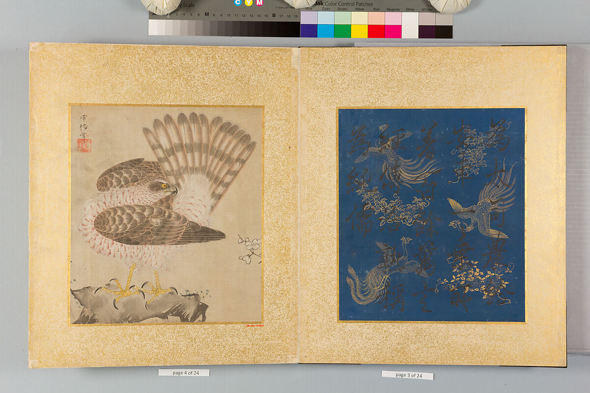 Album of Hawks and Calligraphy, Kano Tsunenobu (Japanese, 1636–1713), Album of ten paintings; ink and color on silk, Japan