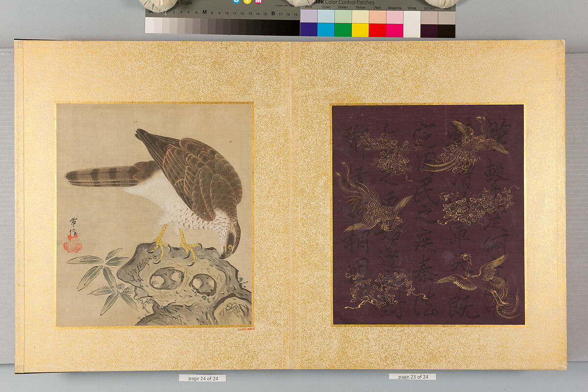 Album of Hawks and Calligraphy, Kano Tsunenobu (Japanese, 1636–1713), Album of ten paintings; ink and color on silk, Japan