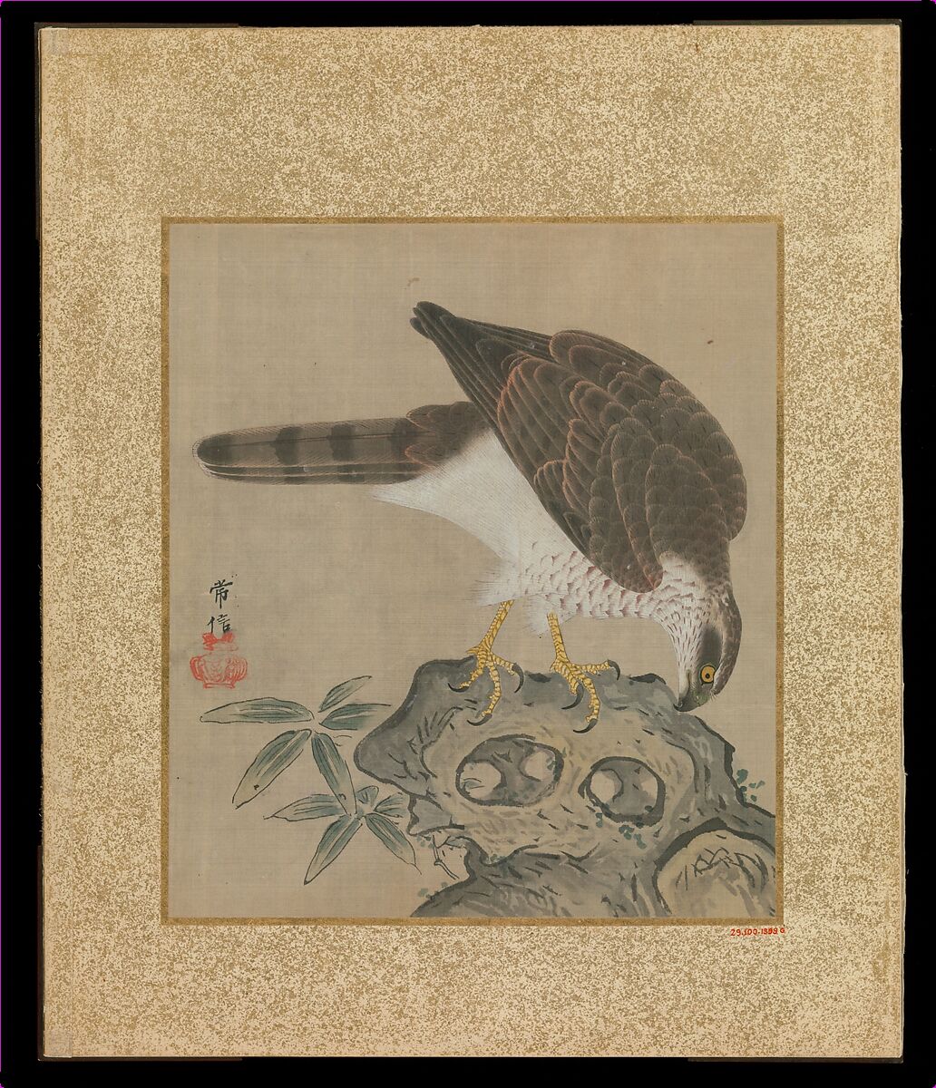 Album of Hawks and Calligraphy, Kano Tsunenobu (Japanese, 1636–1713), Album of ten paintings; ink and color on silk, Japan