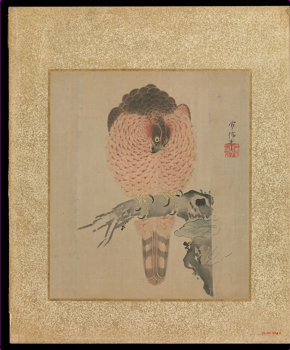 Album of Hawks and Calligraphy, Kano Tsunenobu (Japanese, 1636–1713), Album of ten paintings; ink and color on silk, Japan