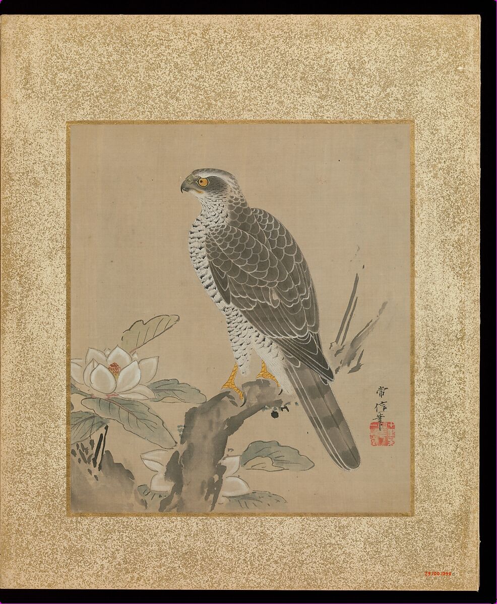 Album of Hawks and Calligraphy, Kano Tsunenobu (Japanese, 1636–1713), Album of ten paintings; ink and color on silk, Japan
