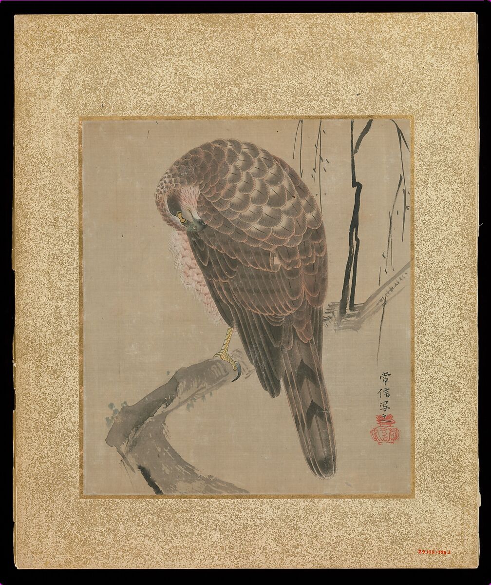 Album of Hawks and Calligraphy, Kano Tsunenobu (Japanese, 1636–1713), Album of ten paintings; ink and color on silk, Japan