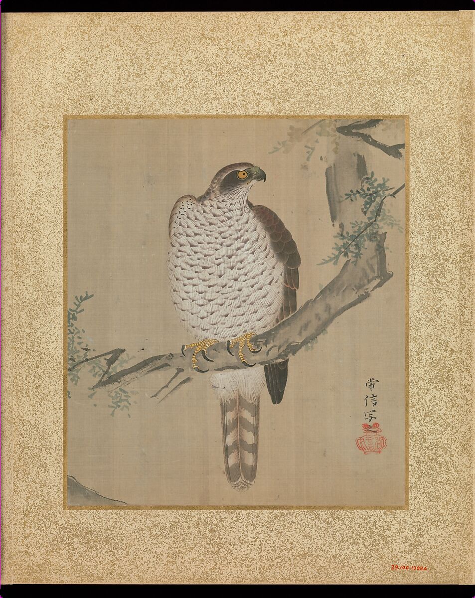 Album of Hawks and Calligraphy, Kano Tsunenobu (Japanese, 1636–1713), Album of ten paintings; ink and color on silk, Japan