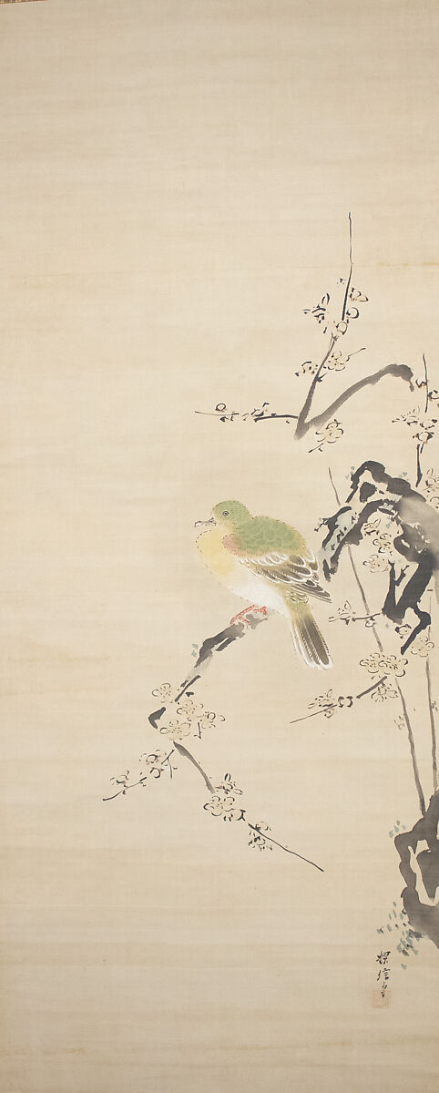 Dove on Plum Tree, Attributed to Kano Tanshin (Morimasa) (Japanese, 1653–1718), Hanging scroll; ink and color on silk, Japan 