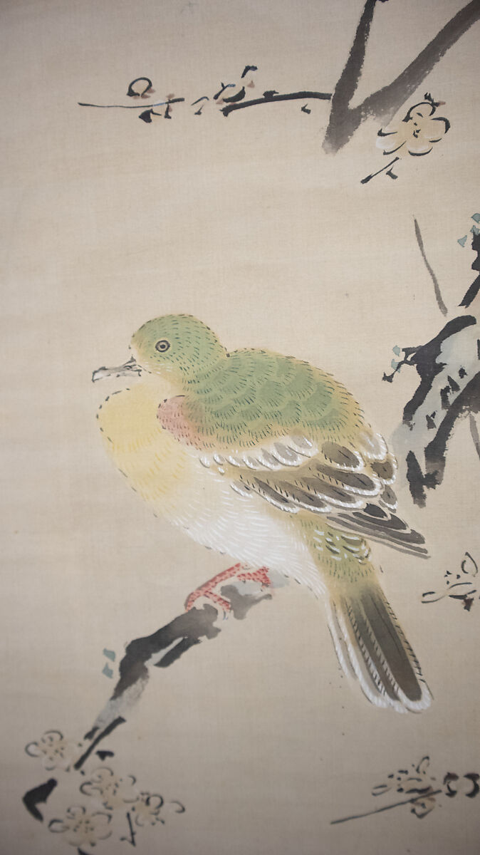 Dove on Plum Tree, Attributed to Kano Tanshin (Morimasa) (Japanese, 1653–1718), Hanging scroll; ink and color on silk, Japan