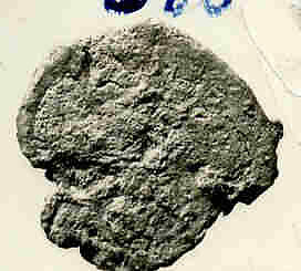 Coin, Copper 