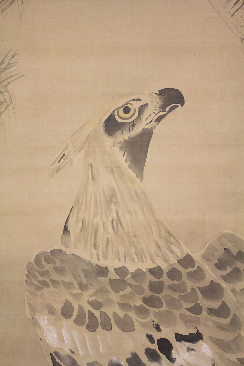 Eagle, Kano Chikanobu (Japanese, 1660–1728), Hanging scroll; ink and color on silk, Japan