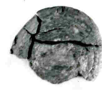 Coin, Copper