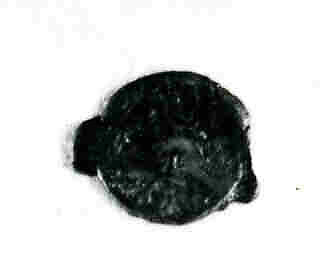 Coin, Copper 
