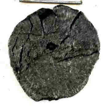 Coin, Copper 