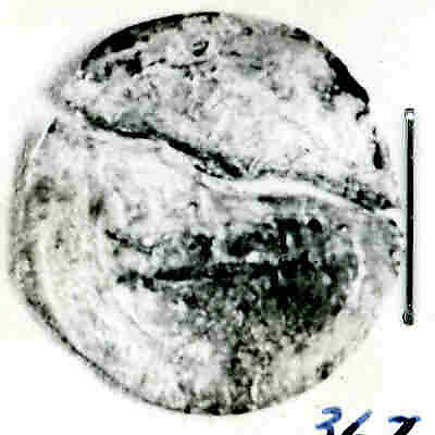 Coin, Silver