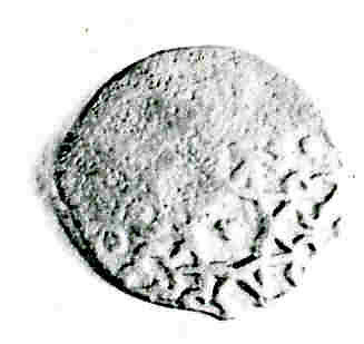 Coin, Copper
