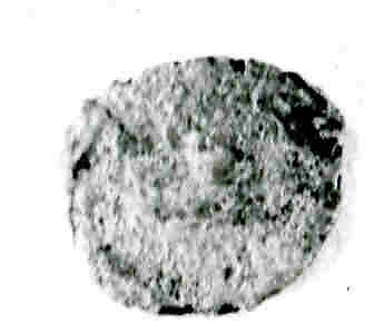 Coin, Copper