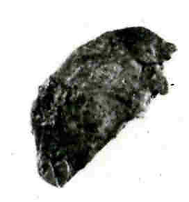 Coin, Copper