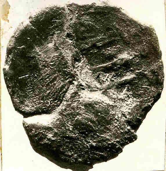 Coin, Copper