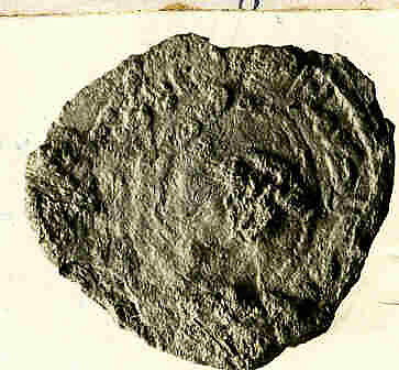 Coin, Copper