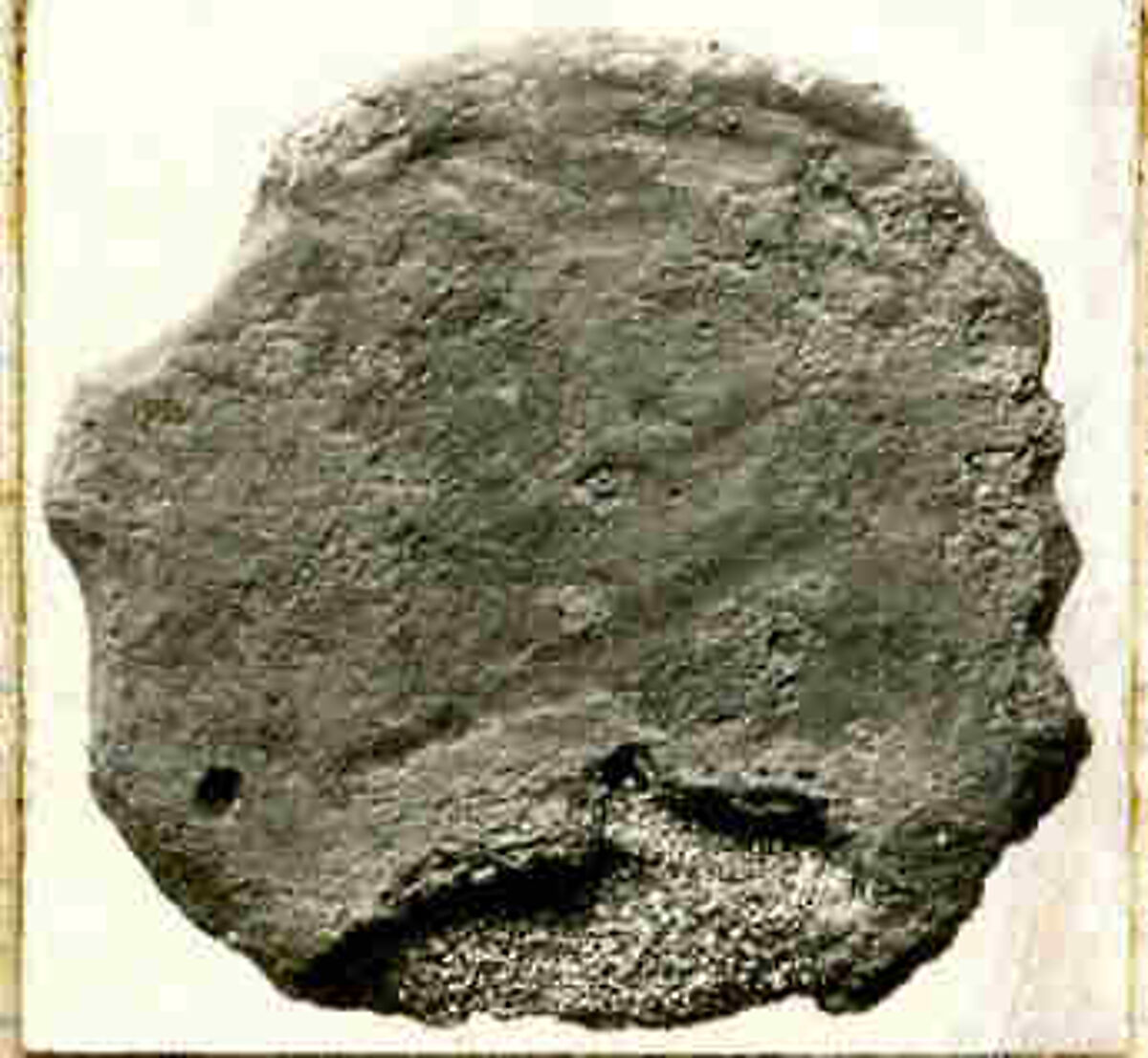 Coin, Copper