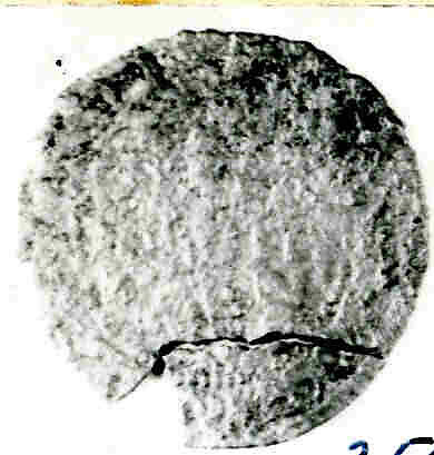 Coin, Copper